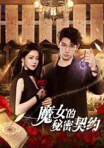 Тайный контракт ведьмы